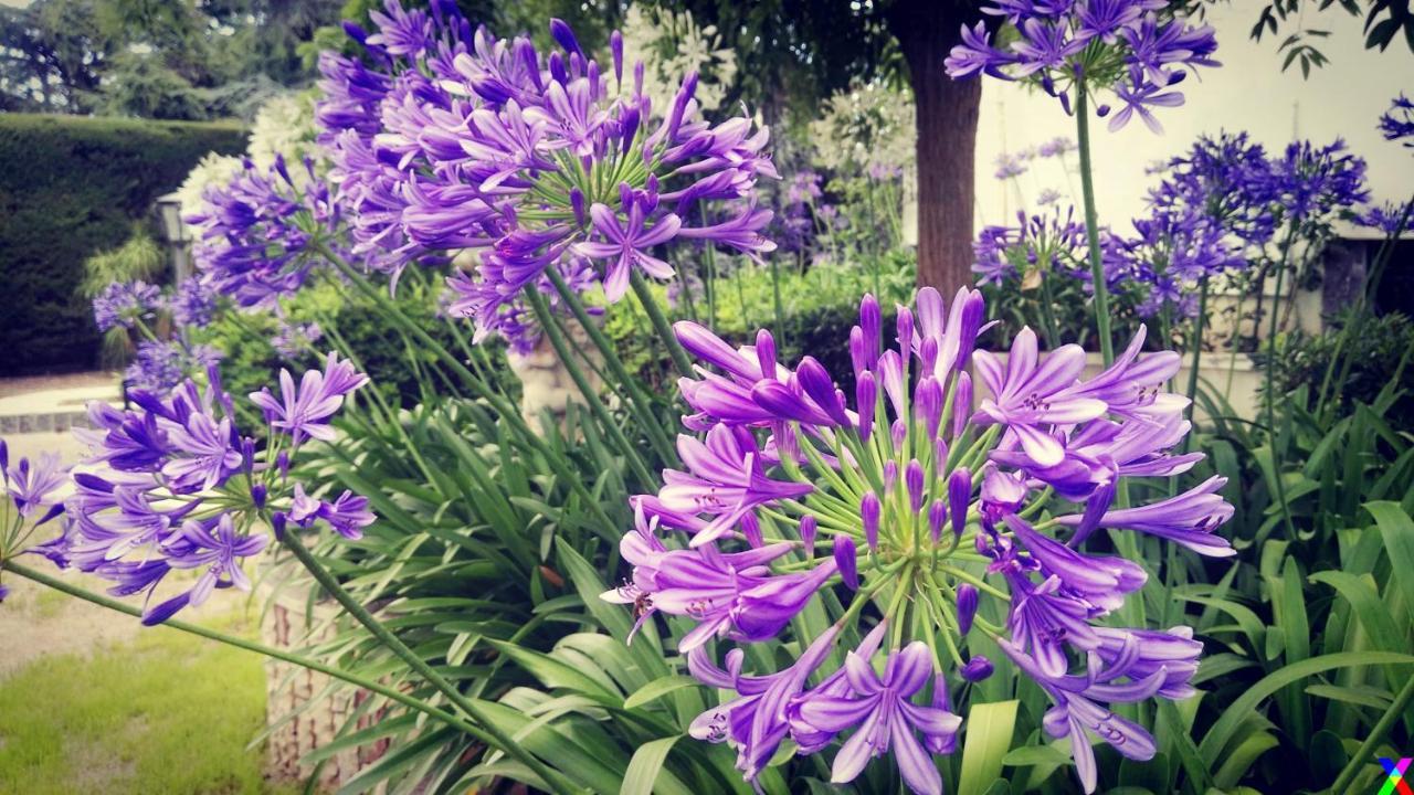 Villa Mary - Oroblu تراني المظهر الخارجي الصورة